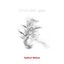 On Broken Glass