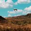 Ghost of Chicago (Piano Acoustic Version) - Single