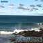 Venore