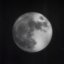 White Moon