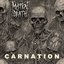 Carnation
