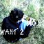 Dontwant 2