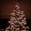 Last Christmas