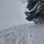 winter ll