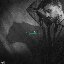 KONNAKOL (Deluxe) [Explicit]