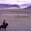 The Silk Road: A Musical Caravan