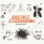Krętacz Z Ciechanowa (Niepublikowane)