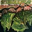 Musiques Pour La Tortue Magique