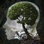 All the Works of Nature Which Adorn the World