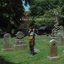 Cemetery Sun