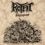 Long Live The Rot