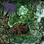 Consumed By Frogs