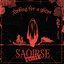 Looking For A Ghost (Saoirse Remix)