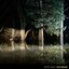 River Mirrors