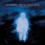 To Become the Endless Static