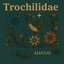 Trochilidae