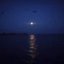 moonlight