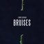 Bruises