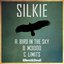 Bird in the Sky