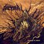 Cloaked in Decay
