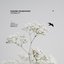 Atonality