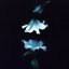 Nocturne [Explicit]