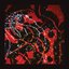 Nerve Net