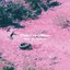 Plane Crash Blues (I Can't Play the Piano) - Single