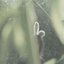 Like Us - Single