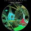 Mystical Adventures