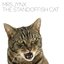 Standoffish Cat