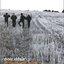 En route pour la joie (disc 1)