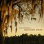 Spanish Moss