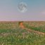 The Scenic Route