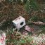 Ourdogismissing - Single