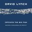 Catching the Big Fish: Meditation, Consciousness, and Creativity