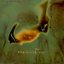 Ocean & Fishes, the EP Collection
