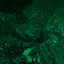 Sensitive Caudata Chaos