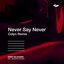 Never Say Never (Colyn Remix)