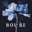 Bouře
