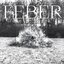Feber