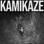 Kamikaze