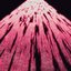 quand la neige vient - Single
