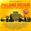 Polski ogień