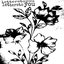 a shoebox of letterstoyou