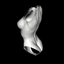 Scenes With Curved Objects