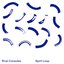 Spirit Loop - Single