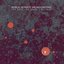 The Race For Space Remixes'