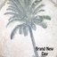 Brand New Day