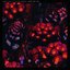 Sever the Ties (feat. Esther Sparkes)